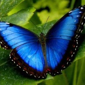 Meet your Posher, Fallon